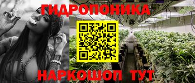 спиды Свободный