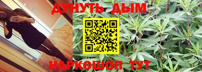 шишки Северобайкальск