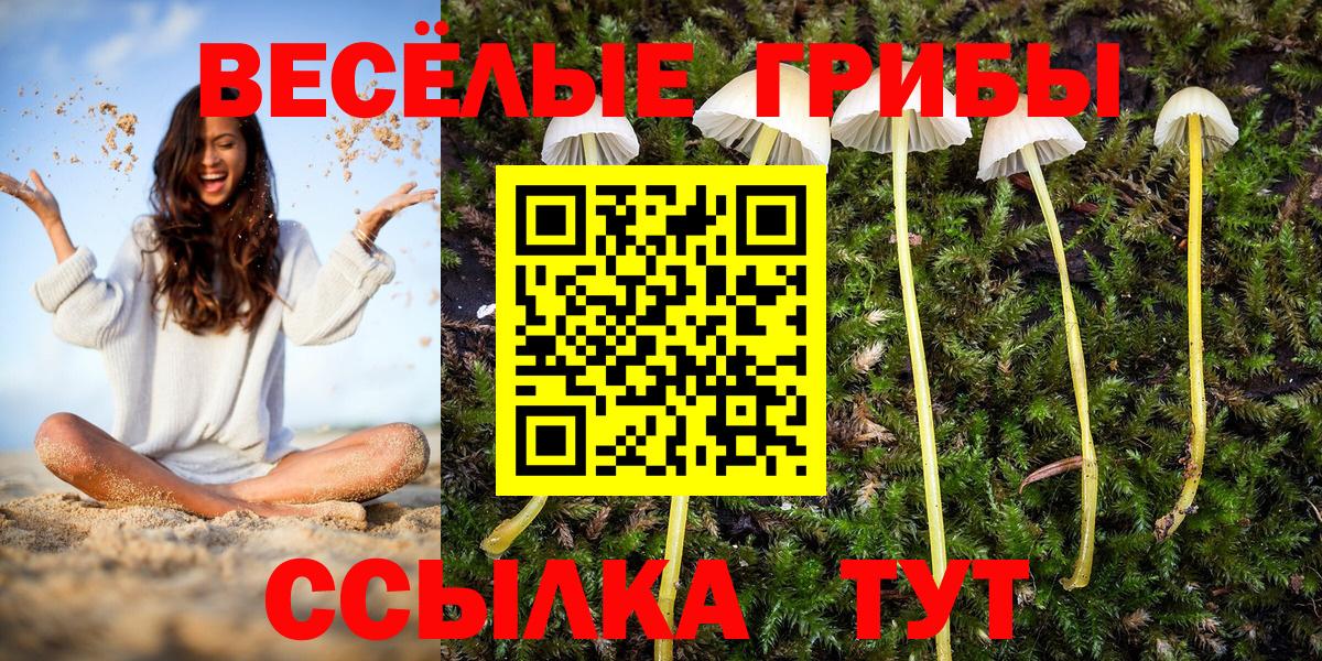 Псилоцибиновые грибы прущие грибы  Вход с VPN  Псилоцибиновые грибы Cubensis  Новоуральск 