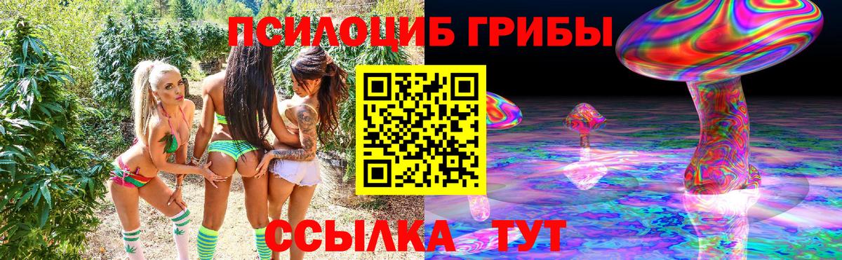 Псилоцибиновые грибы прущие грибы Новоуральск